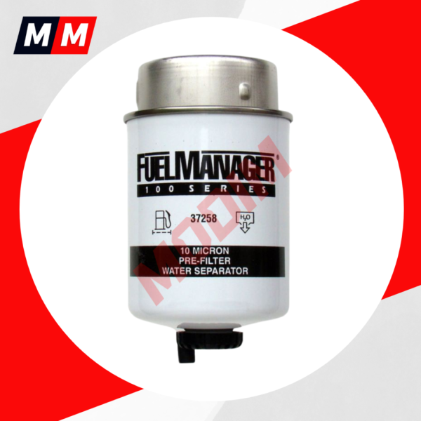 Elemento filtrante 37258