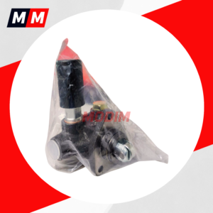 243083 Bomba de alimentación DFG