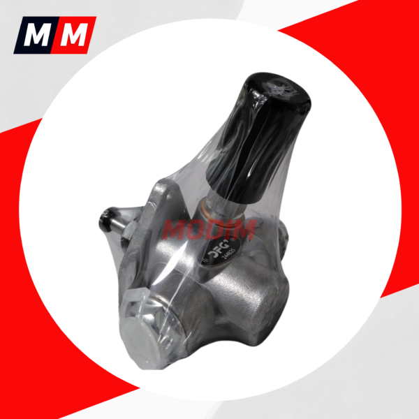 244825 Bomba de alimentación DFG